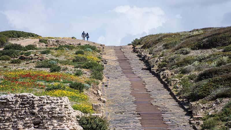 Martha Bakerjian James Martin